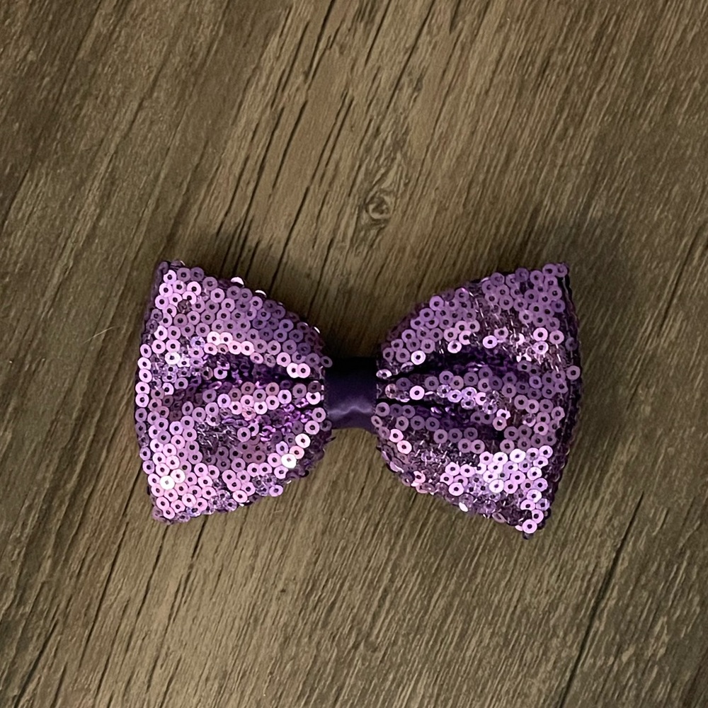 Purple Hair Clip